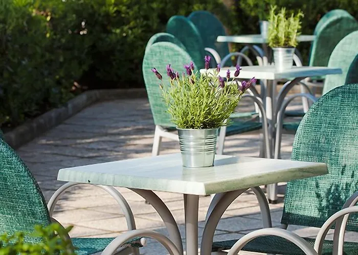 波罗的海酒店 酒店 切塞纳蒂科