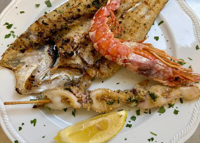 酒店 波罗的海酒店 切塞纳蒂科